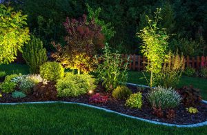 charlotte outdoor landscaping lighting