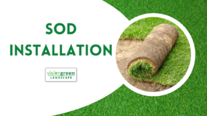 sod installation near me