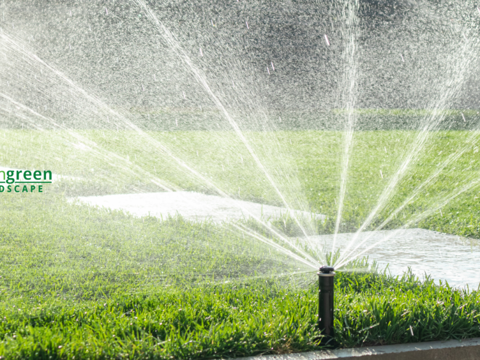 lawn irrigation repair near me