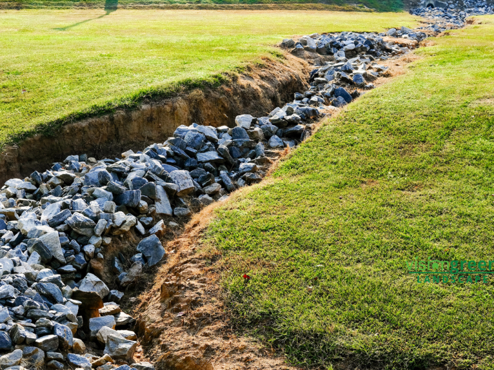 Lawn erosion control