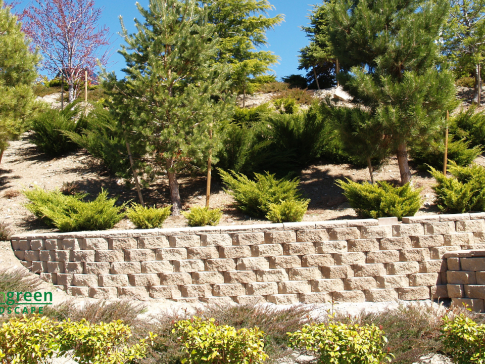 Affordable retaining wall contractor